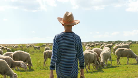 Rear-view-of-Caucasian-teen-boy-in-hat-walking-outdoor-in-field-and-looking-after-sheep-flock