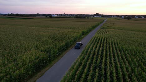 Vintage-car-drives-on-a-road-leading-through-a-corn-field-in-the-sunset