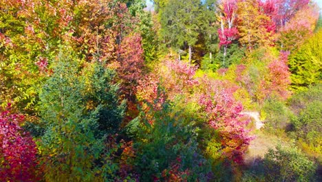 slow-dream-like-hover-over-beautiful-fall-colors-in-the-north-woods