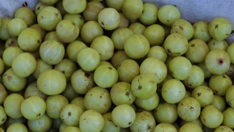 fresh indian gooseberries from farm close up from different angle