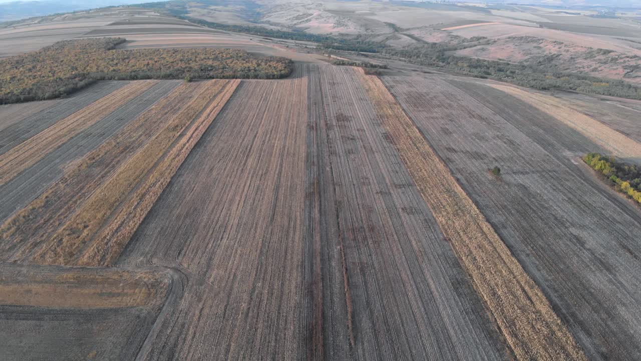 Panorama Of Expansive And Cultivated Field At Sundown