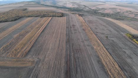 Panorama-De-Campo-Expansivo-Y-Cultivado-Al-Atardecer