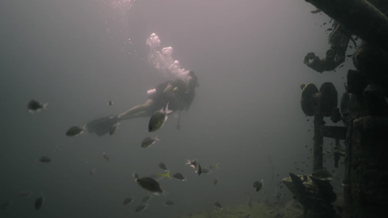 Scuba Diver Exploring an Underwater Shipwreck Amidst Fish