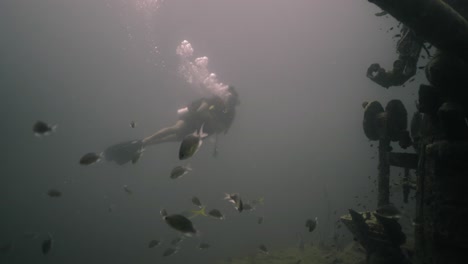 scuba diver exploring an underwater shipwreck amidst fish