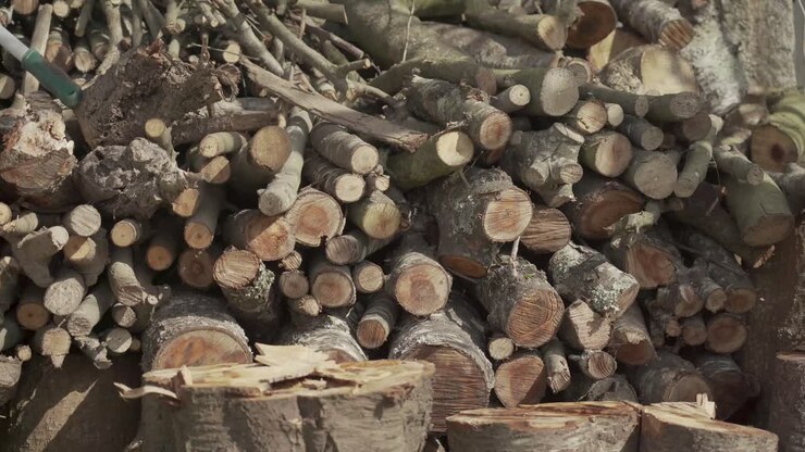 Wood cut by a lumberjack
