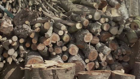 madera cortada por un leñador