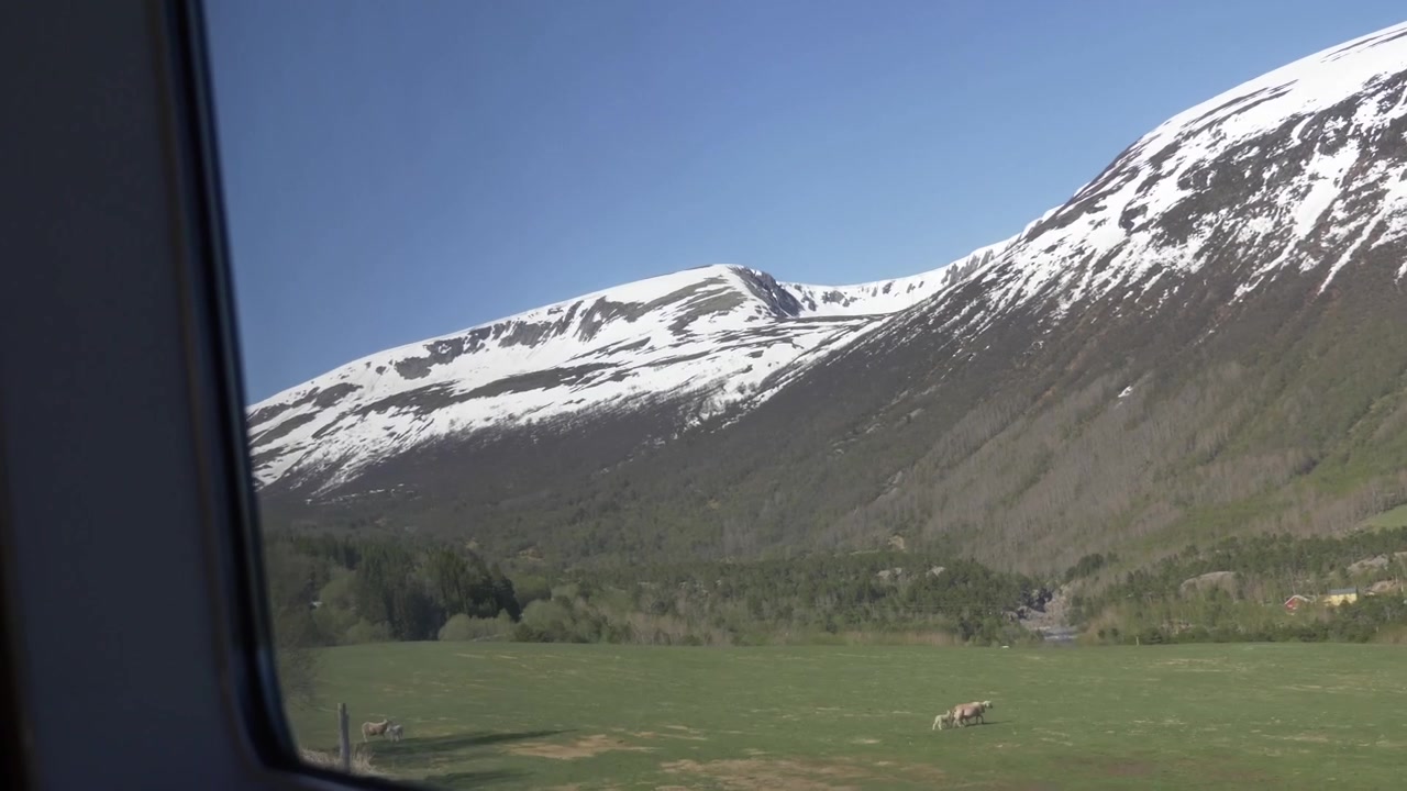Bjergudsigt med sne på toppen fra togtur i Norge om sommeren med blå himmel.