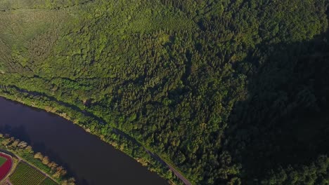 high flying drone aerial view of a forest overgrown hill bird eye