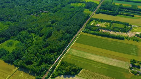 High-speed-train-of-red-color-moving-diagonally-aerial-view