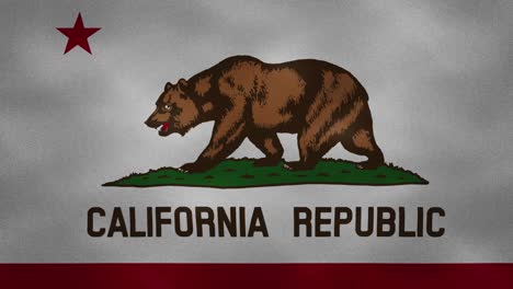 california dense flag fabric wavers, background loop