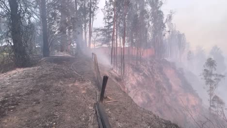el humo sube una colina después de que un incendio consumió hierba, árboles y todo lo que estaba en su camino.