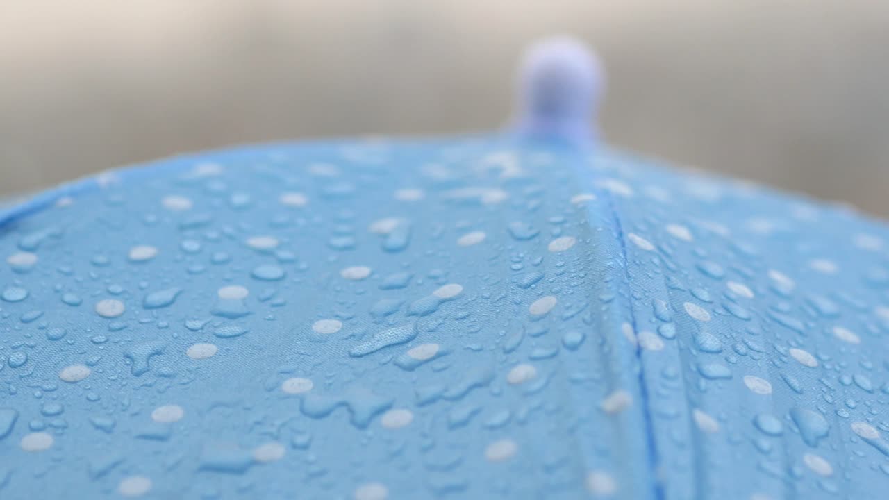 파란색 폴카 점 우산에 비가 떨어집니다.