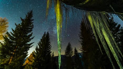 time lapse of starry night sky with pine trees and icicles in foreground | alps, italy - valmalenco