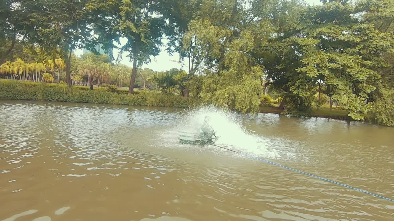 mirando alrededor en el parque