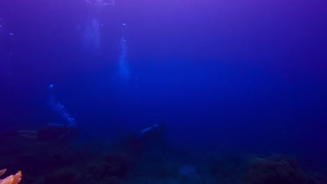 vista submarina estática de dos buzos buceando como pareja en aguas tropicales