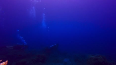 static underwater view of two divers diving as a couple in tropical waters