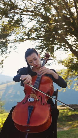 sitting lady in black dress performs cello music. musician playing instrument at the backdrop of old tree growing on the hill. vertical video