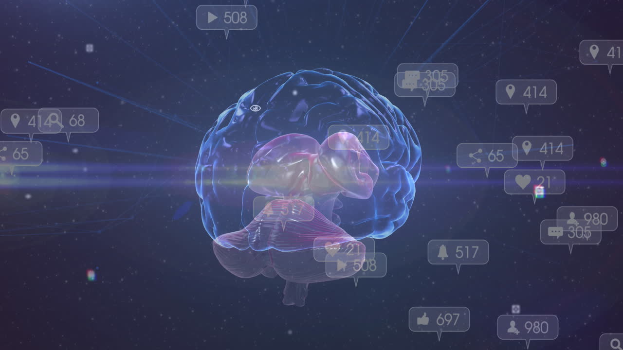Animation of data processing over human brain