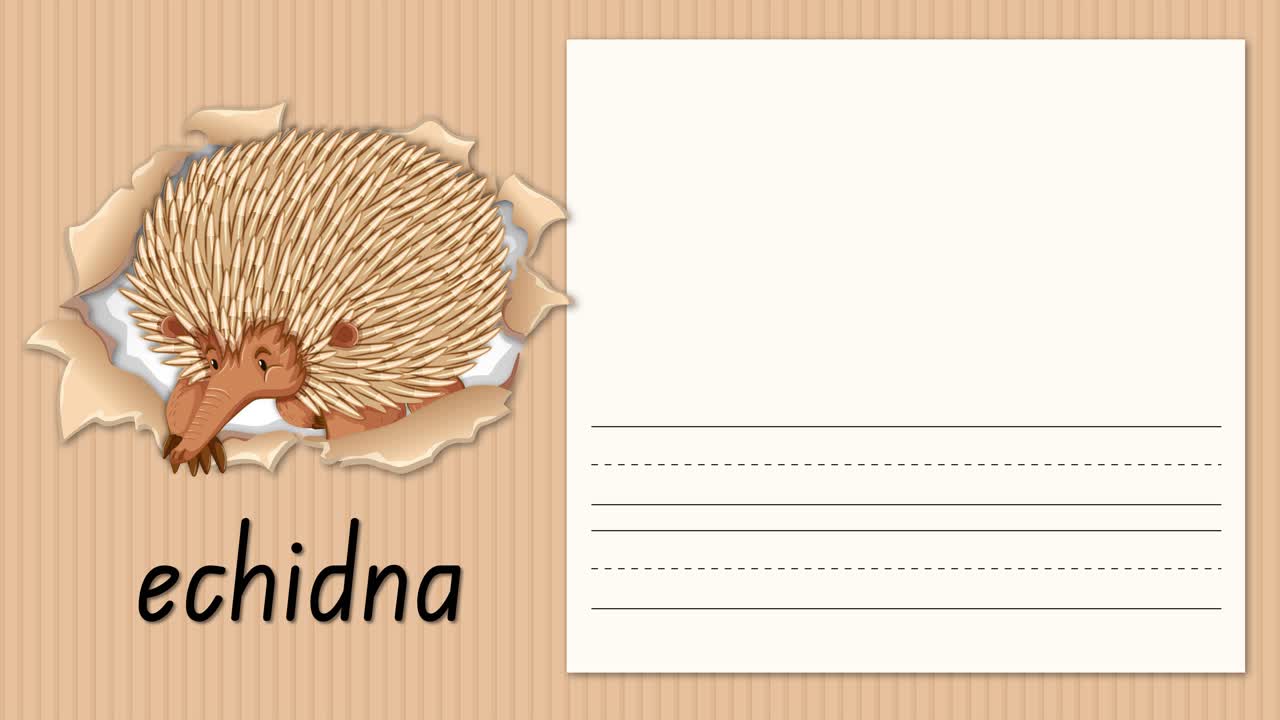 Lezione animata di calligrafia che dimostra la scrittura delle lettere maiuscole e minuscole E, accanto a un'illustrazione di un'echidna