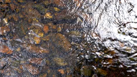 el lecho de boulder creek