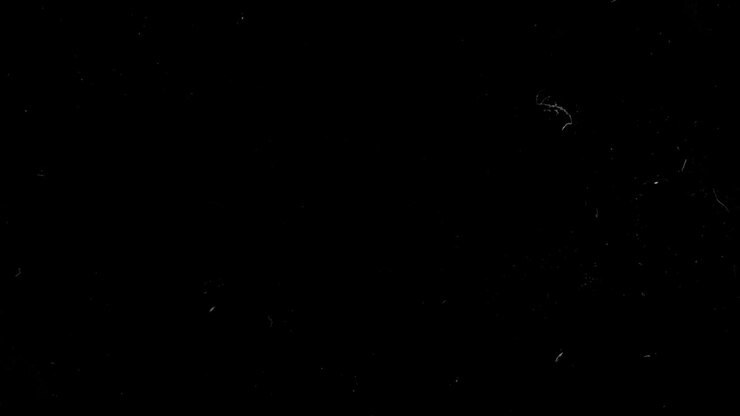 Vintage film effect with authentic-looking dust particles and subtle scratches on an isolated black background. Seamless loop for creating a retro or damaged film look. Use as an overlay