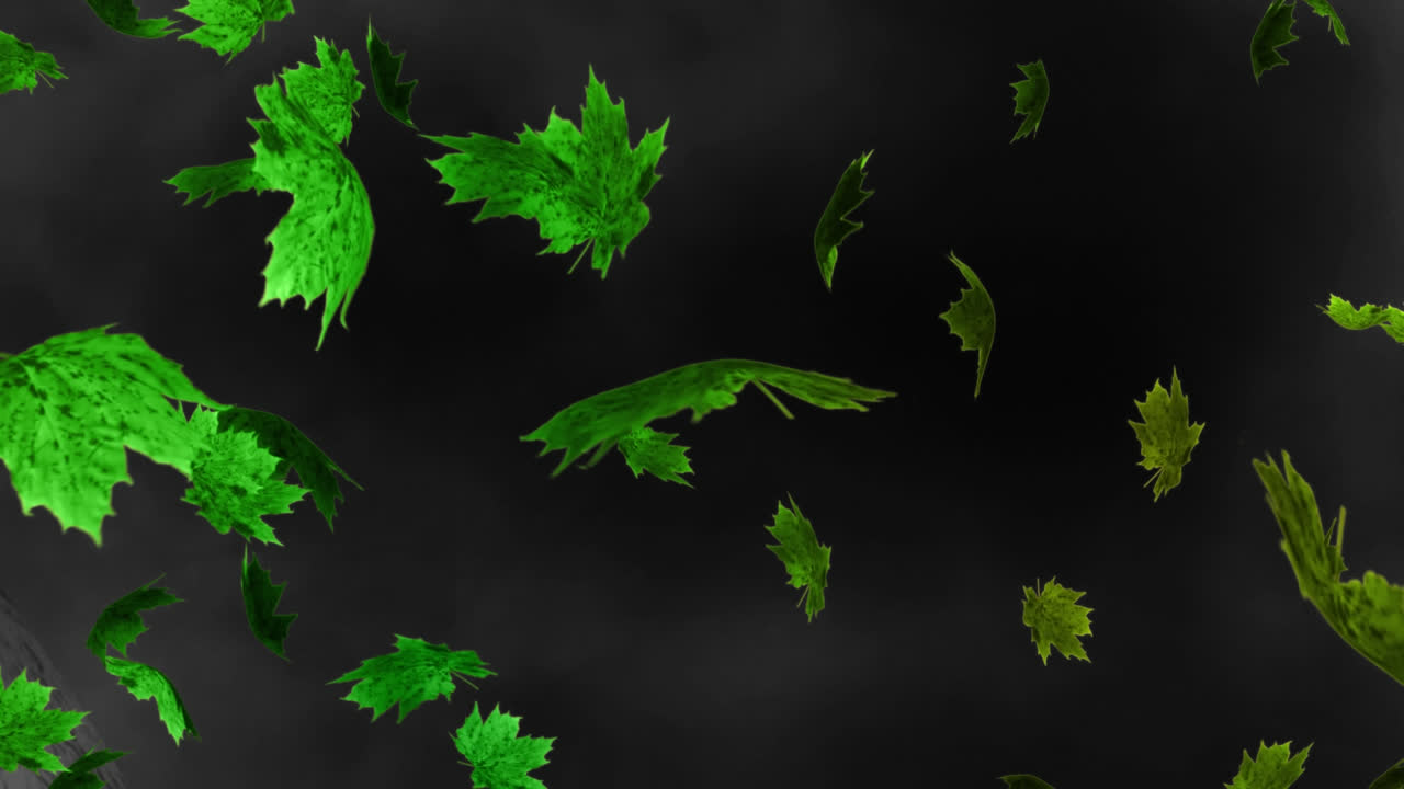 Digital animation of multiple autumn maple leaves floating against textured black background