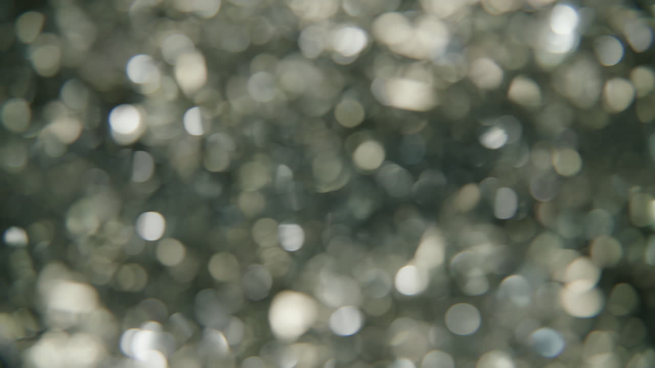 la magia de las vacaciones