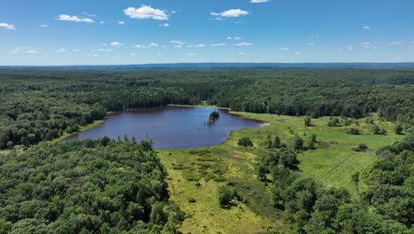 a beautiful aerial view of the rolling hills covered in trees creating a huge wilderness with a lake in the background