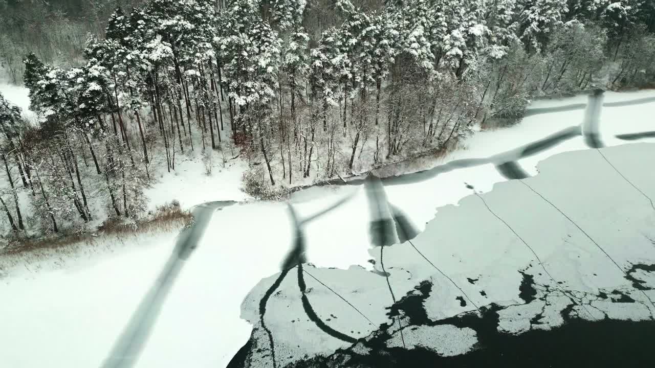 Snowy forest above a frozen lake from a bird's eye view