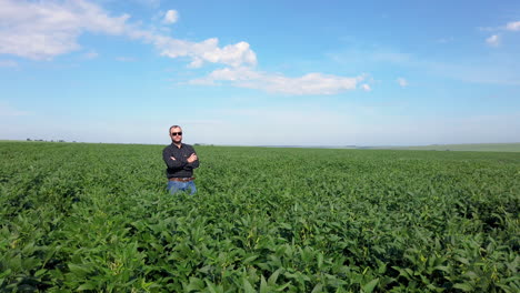 Agronom-Inspiziert-Sojabohnenkulturen,-Die-Auf-Dem-Feld-Wachsen