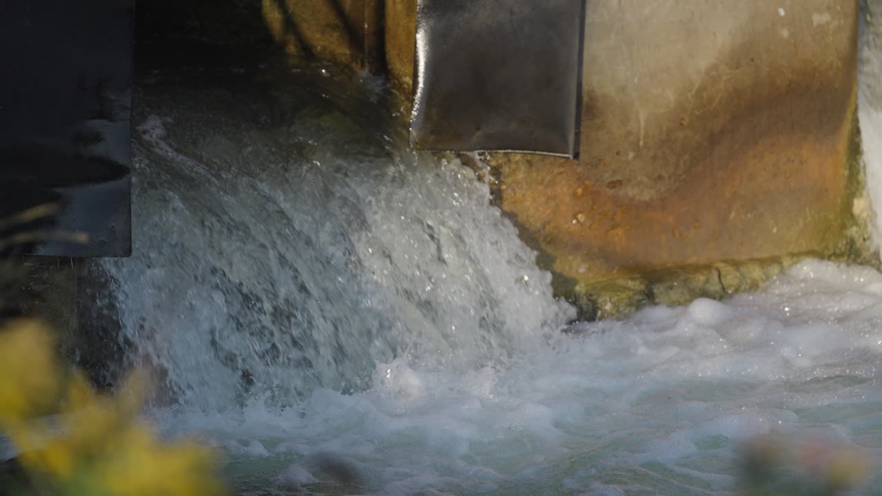 Slow motion salmon jump in Ganaraska River, Ontario, nature, determination