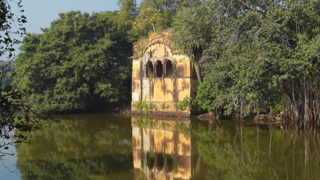 la selva de la india. el parque nacional de ranthambore rajasthan india. la hermosa naturaleza de la india