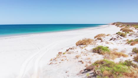australian sandy beach with 4wd on beach turquoise water and red cliffs and white sand drone aerial