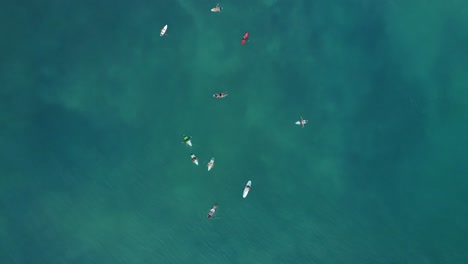 Bird's-eye-drone-footage-of-surfers-in-clear-water-with-reef-underneath-in-Uluwatu,-Bali-Indonesia