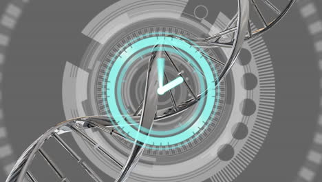 animación de un reloj digital sobre una hélice de adn en un túnel circular contra un fondo gris.