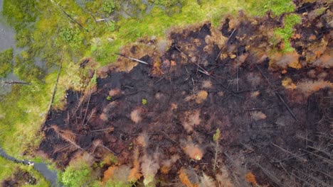 unique aerial view of natural wildfire containment by a freshwater source and stream in canada