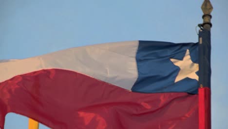 Chile-Flagge-Weht