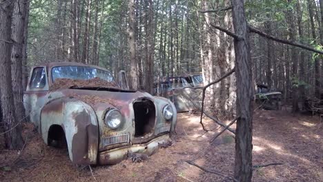 Slider-shot-of-abandoned-automobiles-in-forest