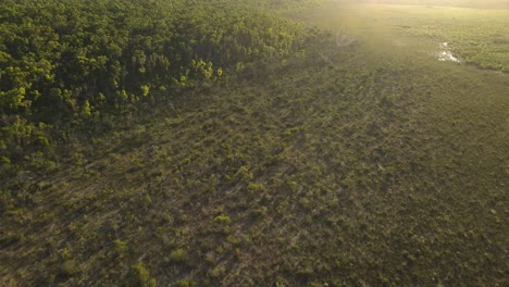 Clip-Aéreo-De-Matorrales-En-El-Remoto-Interior-De-Australia,-Al-Final-De-La-Tarde