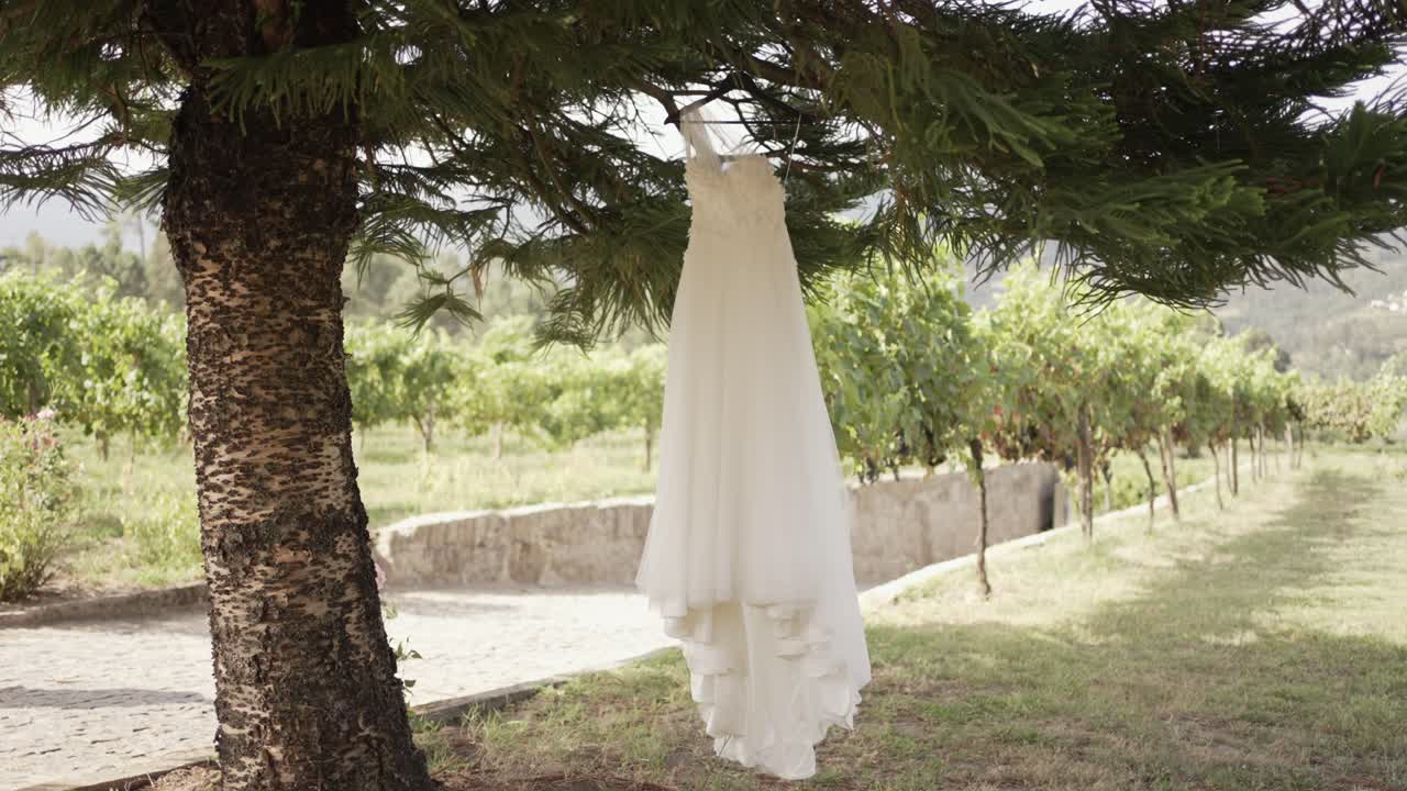White wedding dress hanging gracefully from a tree branch in a vineyard, capturing a serene, rustic outdoor setting perfect for a romantic wedding ceremony