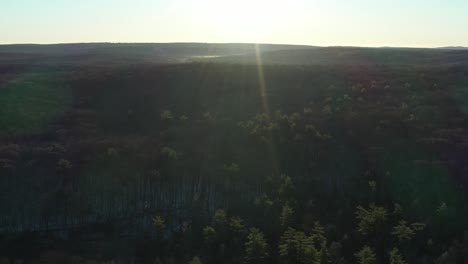 Giro-Rápido-Y-Corto-De-Drones-Sobre-Colinas-Boscosas-Al-Amanecer-De-Invierno