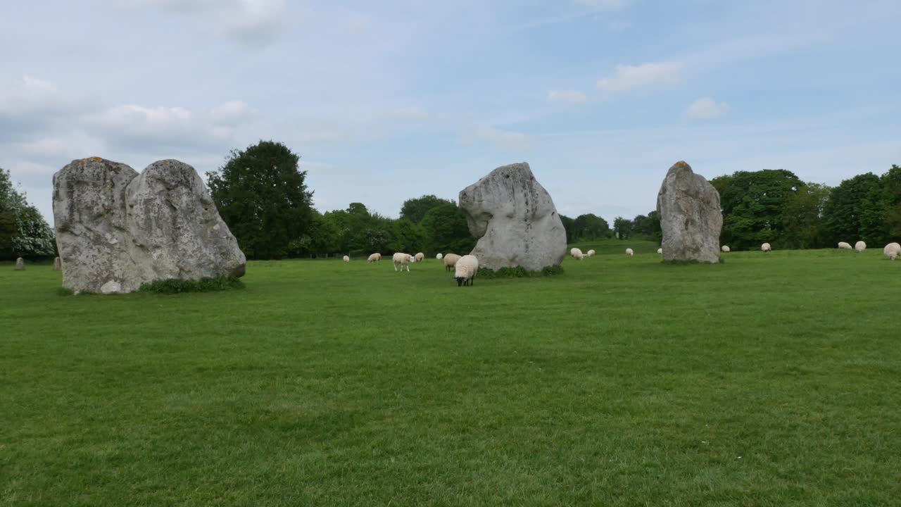 овцы пасутся на каменном круге авебери, неолитический памятник в англии