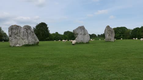 sheep grazing at avebury stone circle, neolithic monument england