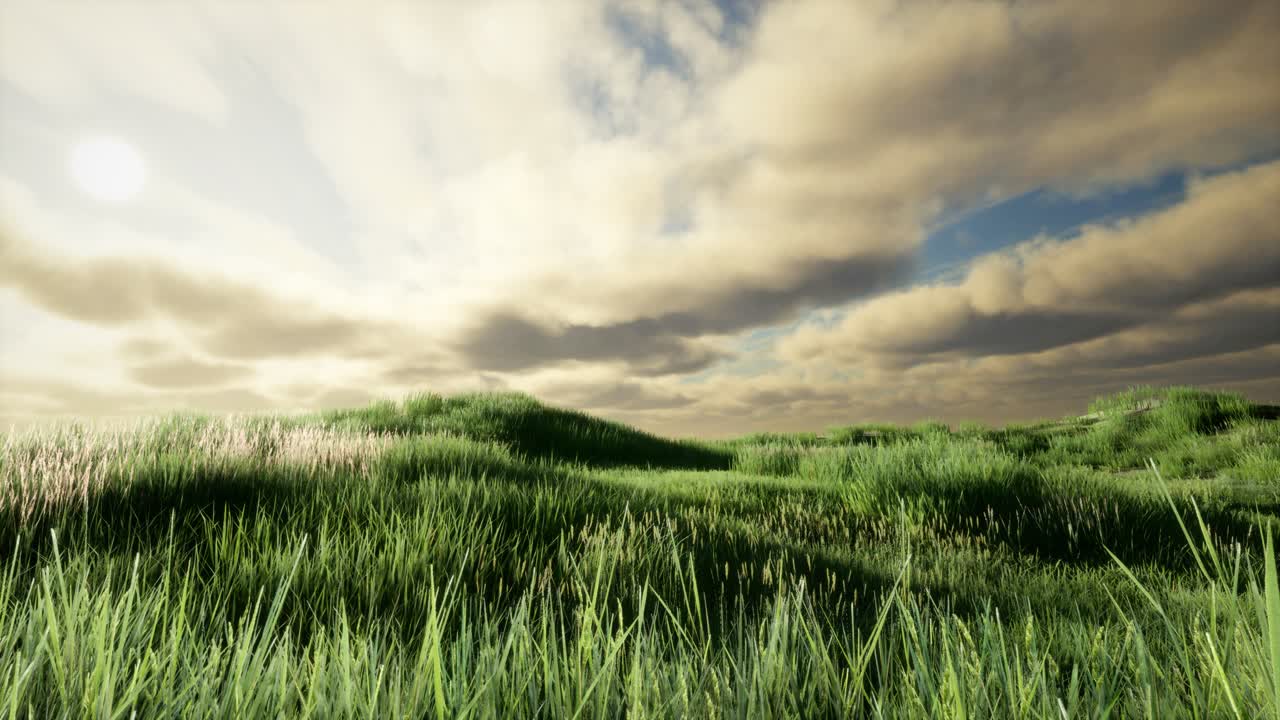 초록 잔디가 있는 초원 위의 폭풍우