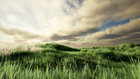 storm clouds above meadow with green grass