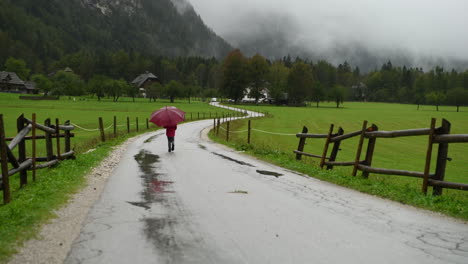 Little-girl-with-umbrella-walking-in-rain-on-country-road,-farmhouse-in-background,-alpine-valley,-4k,-steady-shot,-from-behind-facing-away