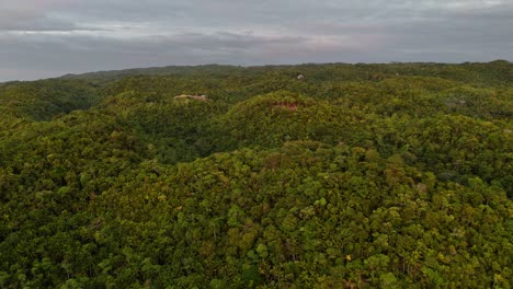 Imágenes-De-Drones-De-La-Jungla-De-Siquijor-En-Filipinas