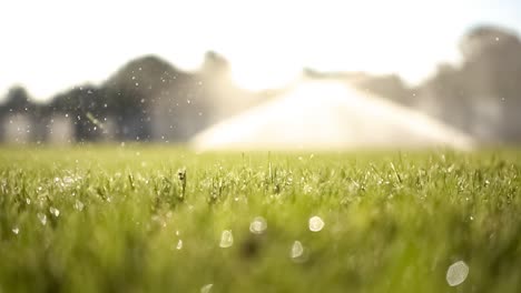 Golf-club-hits-a-golf-ball-in-a-super-slow-motion.-Drops-of-morning-dew-and-grass-particles-rise-into-the-air-after-the-impact.