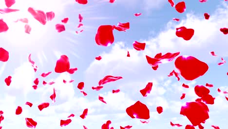 rose petals falling from sky (loop) 4k