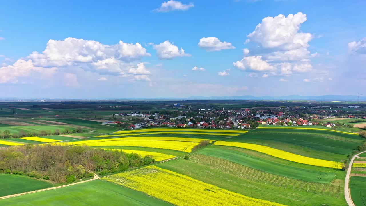 vista aérea de los campos de canola cerca de la ciudad en un día soleado